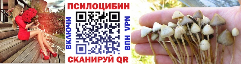 Галлюциногенные грибы прущие грибы Костерёво