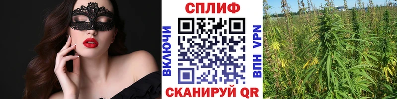 OMG маркетплейс  цены   Костерёво  Марихуана VHQ 